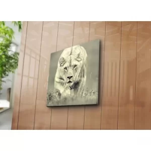 Image of 4545NAT-21 Multicolor Decorative Canvas Painting