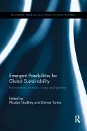 Image of emergent possibilities for global sustainability intersections of race clas