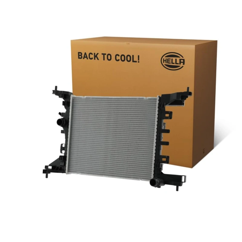 Image of HELLA Engine radiator HELLA 8MK 366 301-851