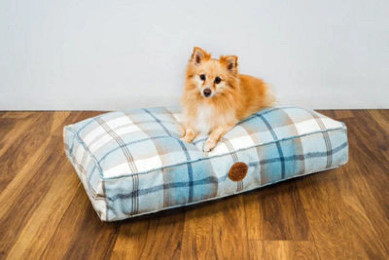 Image of Snug & Cosy Pets Snug And Cosy Highland Bluebell Lounger 90Cm X 60Cm