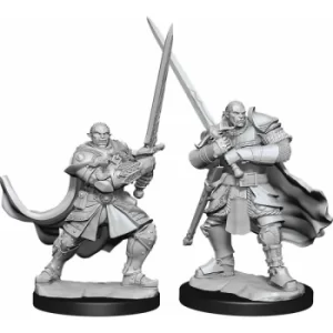 Image of D&D Nolzur's Marvelous Unpainted Miniatures (W15) Half-Orc Paladin Male