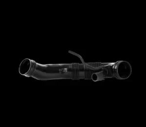 Image of RIDEX Intake Pipe, air filter 1591I0034 VW,AUDI,SKODA,Golf V Schragheck (1K1),TOURAN (1T1, 1T2),Passat Variant (3C5),GOLF VI (5K1)