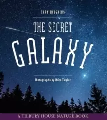 Image of The Secret Galaxy