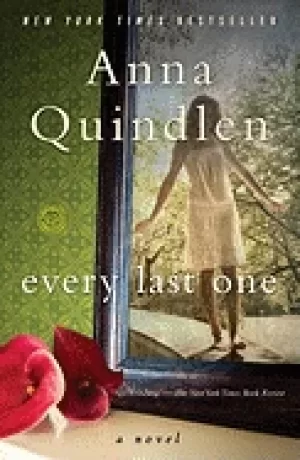 Image of every last one a novel