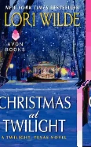 Image of christmas at twilight
