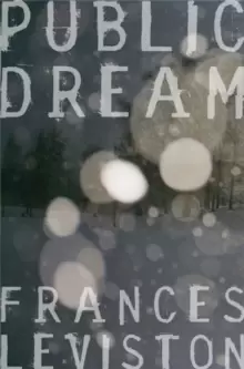Image of Public Dream