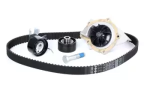 Image of INA Water Pump + Timing Belt Kit 530 0449 30 FORD,FIAT,PEUGEOT,Focus II Schragheck (DA_, HCP, DP),MONDEO IV Turnier (BA7)