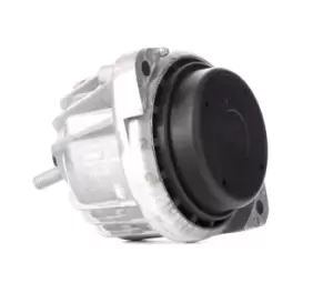 Image of DELPHI Engine mount BMW TEM100 22116768800
