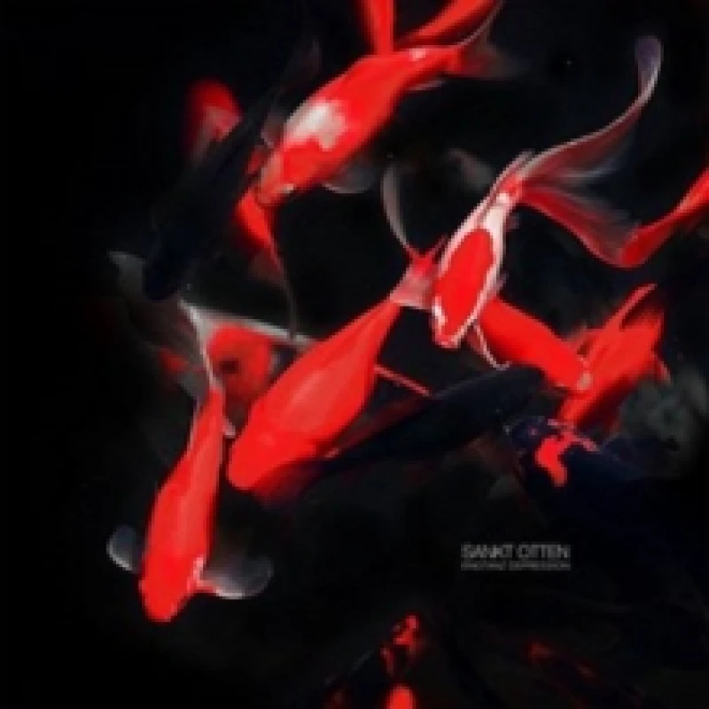 Image of Engtanz Depression CD / Album