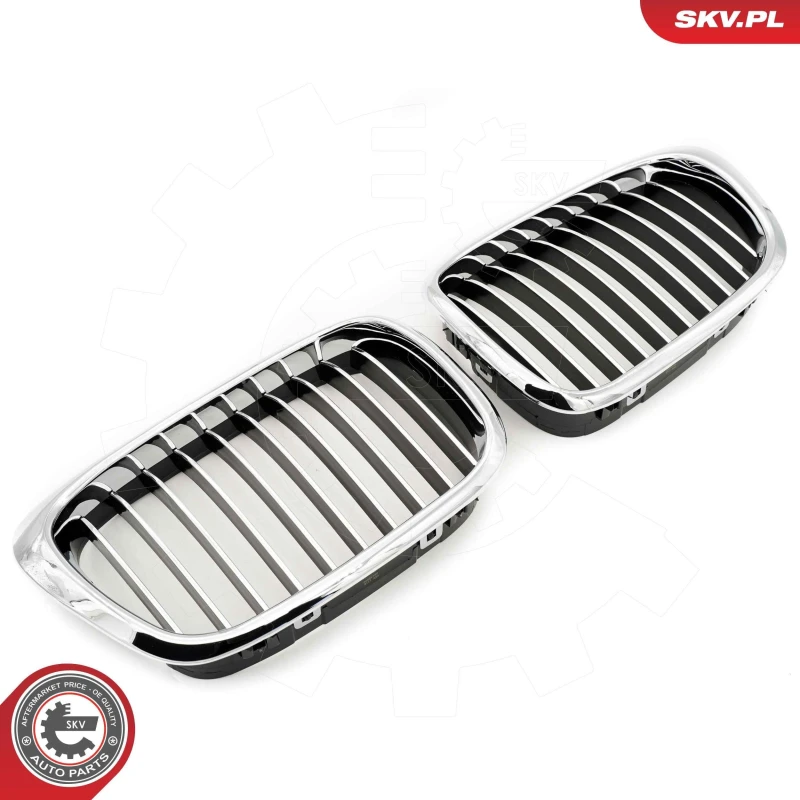 Image of ESEN SKV Radiator Grille ESEN SKV 66SKV159