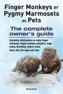 Image of finger monkeys or pygmy marmosets as pets including information on baby fin
