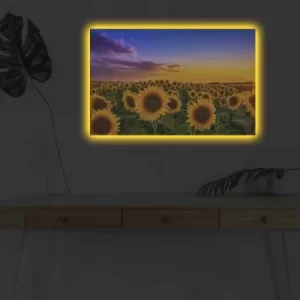 Image of 4570DHDACT-002 Multicolor Decorative LED Lighted Canvas Painting