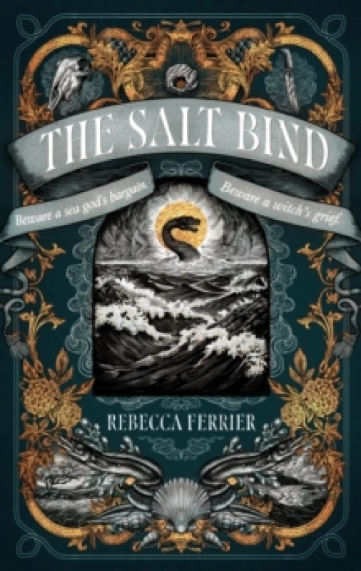 Image of The Salt Bind Hardback