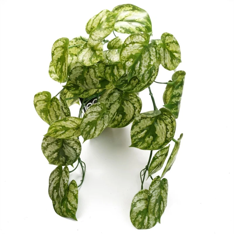 Image of Leaf 35cm Artificial Trailing Light Green Plant Green unisex