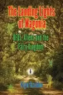 Image of landing lights of magonia ufos aliens and the fairy kingdom
