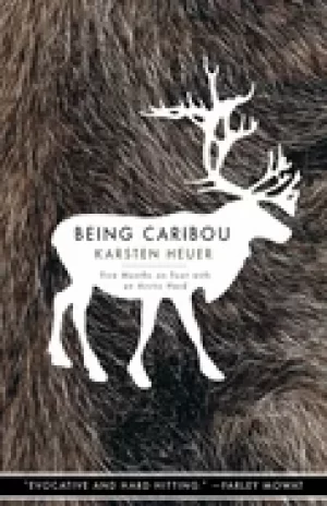Image of being caribou five months on foot with an arctic herd