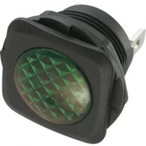 Image of SCI 720294 Green