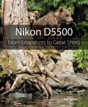 Image of nikon d5500 from snapshots to great shots paperback 1st edition