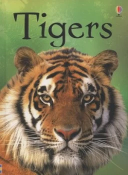 Image of Tigers by James Maclaine and John Francis and Kimberley Scott Hardback