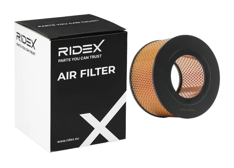 Image of RIDEX 8A0466 Air filter Air Recirculation Filter Air Filter (8)