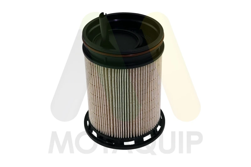 Image of MOTAQUIP Fuel filter MOTAQUIP LVFF810