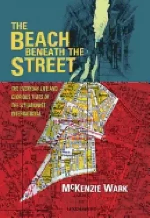 Image of beach beneath the street the everyday life and glorious times of the situat