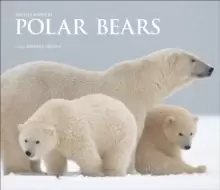 Image of Polar Bears : A Life Under Threat