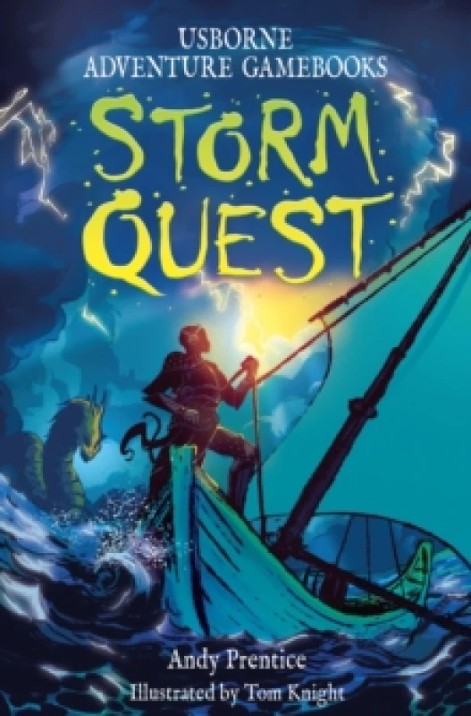 Image of Storm Quest Paperback / softback