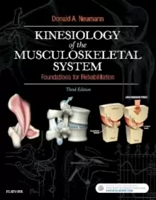 Image of Kinesiology of the Musculoskeletal System : Foundations for Rehabilitation