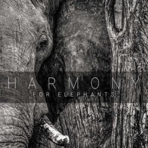 Image of Harmony for Elephants by Various Artists CD Album