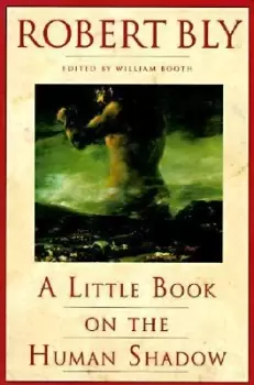 Image of A Little Book on the Human Shadow by Robert Bly
