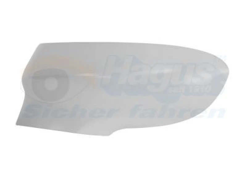 Image of VAN WEZEL Wing mirror cover VAN WEZEL 3872843