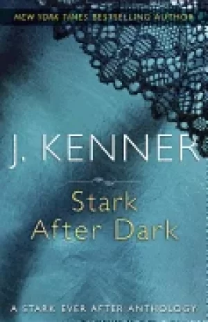 Image of stark after dark a stark ever after anthology