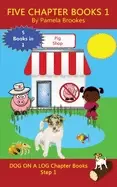 Image of five chapter books 1 systematic decodable books for phonics readers and fol