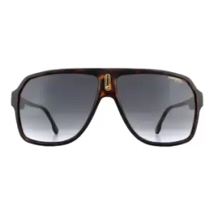 Image of Carrera Aviator Dark Havana Blue Gradient Sunglasses