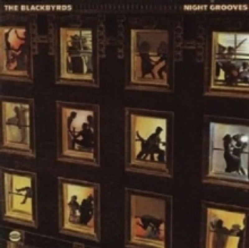 Image of Night Grooves Vinyl