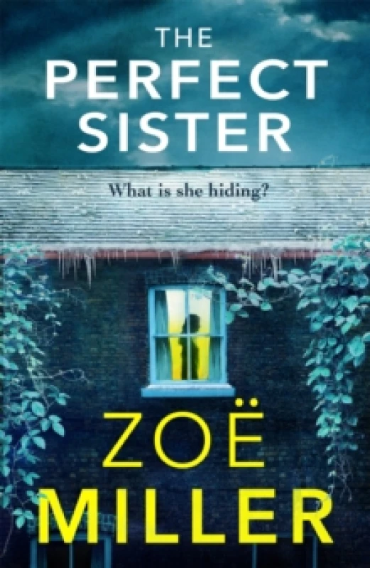 Image of The Perfect Sister : A compelling page-turner that you won't be able to put down Paperback / softback
