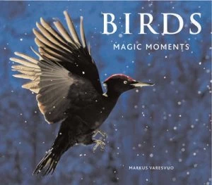Image of Birds by Markus Varesvuo Hardback