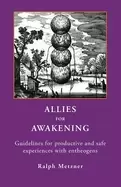 Image of allies for awakening guidelines for productive and safe experiences with en