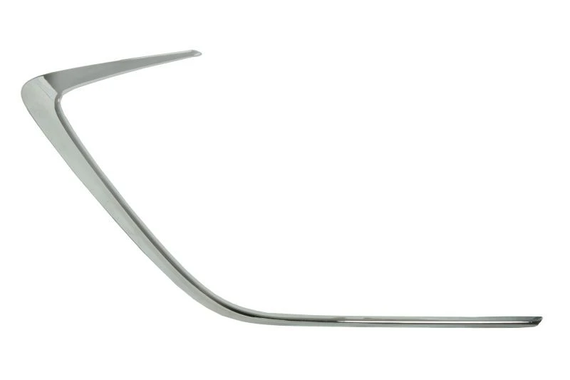 Image of BLIC 6502-07-8140917P Trim-/Protection Strip, bumper Left Front Trim-/Protection Strip,bumper (1002)
