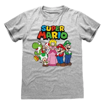 Image of Super Mario - Vintage Group Unisex XX-Large T-Shirt - Grey