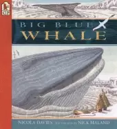 Image of big blue whale read and wonder