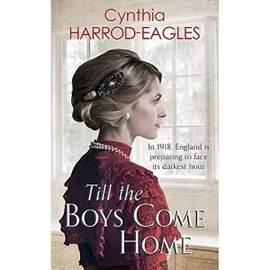 Image of Till the Boys Come Home War at Home, 1918 Paperback / softback 2018