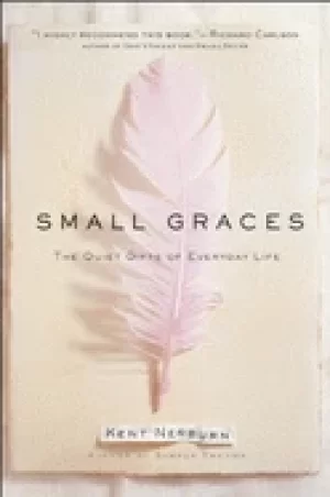 Image of small graces the quiet gifts of everyday life