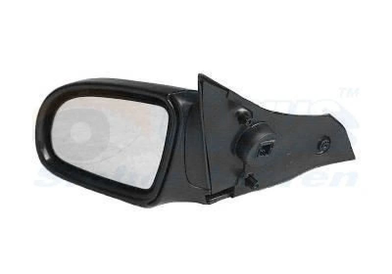 Image of VAN WEZEL Wing mirror VAN WEZEL 3776807