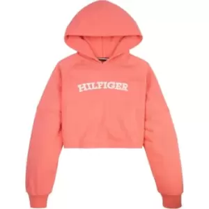 image of Tommy Hilfiger Monotype Hoodie - Red