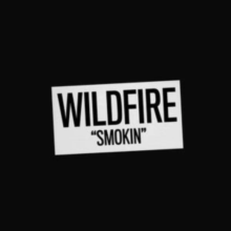 Image of Smokin' Vinyl