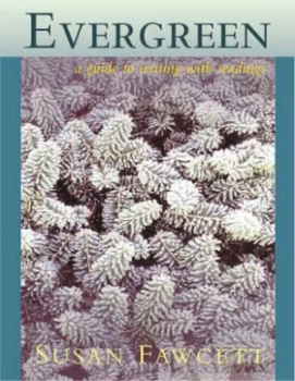 Image of Evergreen by Susan Fawcett Paperback