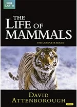 image of David Attenborough: The Life of Mammals - The Complete Series (2002)