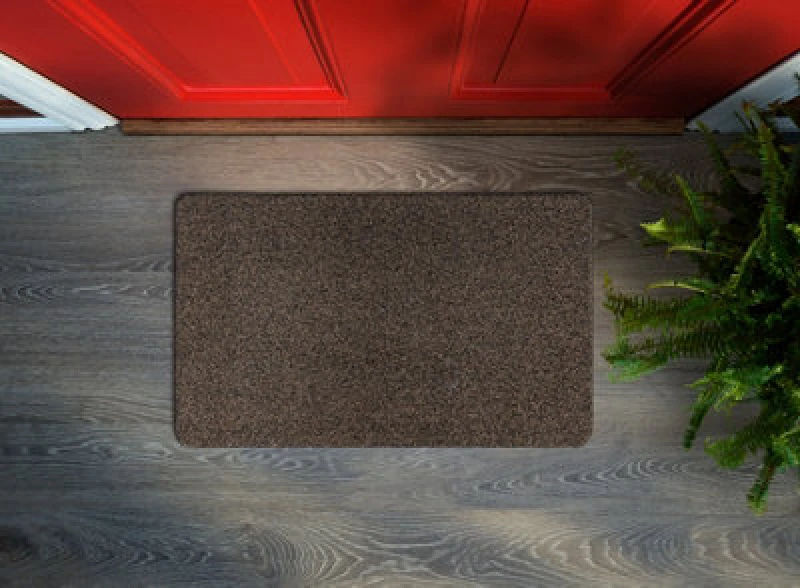 Image of RugsX Doormat Michigan 401 Antislip, Outdoor, Indoor, Gum - Brown 40X60 Cm